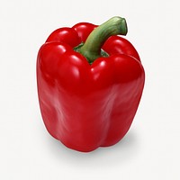 Red sweet pepper isolated image