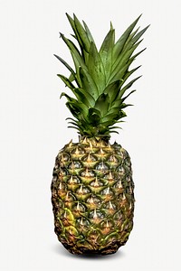 Pineapple tropical fruit isolated image
