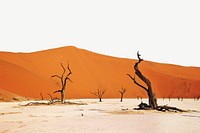 Desert landscape border psd