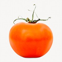 Fresh tomato collage element, isolated image