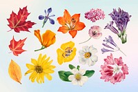 Aesthetic watercolor flower clipart psd set