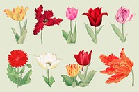 Flowers  collage element set psd. Remixed by rawpixel.