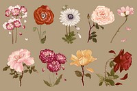 Autumnal flowers  collage element set psd. Remixed by rawpixel.
