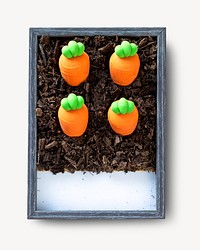 Carrot toys isolated design
