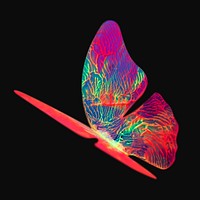 Neon butterfly isolated design