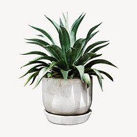 Potted plant isolated design
