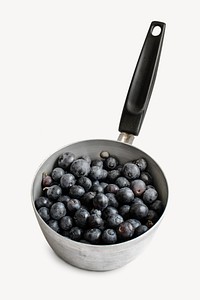 Blueberry in pot isolated design