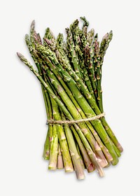 Asparagus tied in a bundle collage element psd