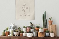 Poster psd hanging over a shelf full of cacti and succulents 