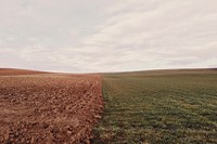 Smart farming background, agricultural technology