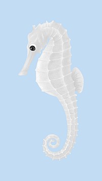 Cute seahorse iPhone wallpaper background