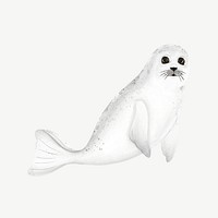 Cute seal, animal illustration, collage element psd