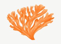 Orange coral, nature illustration collage element psd