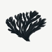 Black coral, nature illustration collage element psd