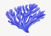 Blue coral, nature illustration collage element psd