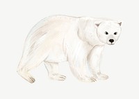 Polar bear, animal illustration, collage element psd