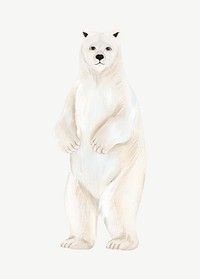 Lonely polar bear, animal illustration, collage element psd