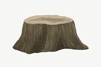 Tree stump, nature illustration collage element psd