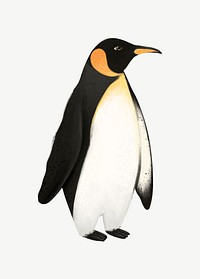 Emperor Penguin, animal illustration, collage element psd