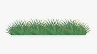 Green grass border, collage element psd