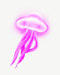 Neon pink jellyfish, animal illustration, collage element psd