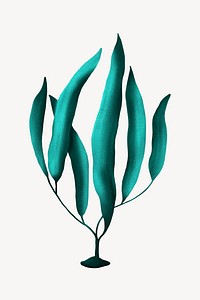 Green ocean plant, aesthetic paint illustration