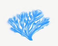 Blue coral, nature illustration collage element psd