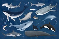 Large sea life animals illustration set, collage element psd