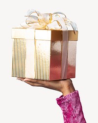 Hand holding gift box isolated image