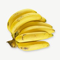 Banana fruit collage element psd