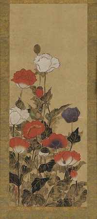 Poppies, Yamanaka & Company