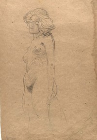 Female nude to the left by Gustav Klimt