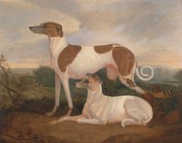 Two Greyhounds in a Landscape