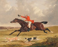 Foxhunting: Encouraging Hounds