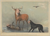 Stag at Bay: - Suggested by the Beautiful Picture of Edwin Landseer R.A., Esquire