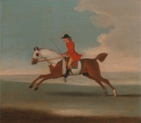 One of Four Portraits of Horses - a Chestnut Racehorse Exercised by a Trainer in a Red Coat: galloping to the left, the horse wearing white sweat covers on head, neck and body