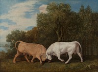 Bulls Fighting by George Stubbs