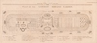 Plan of the London Botanic Garden