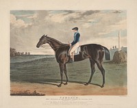 Cadland, the Winner of the Derby Stakes at Epsom, 1828