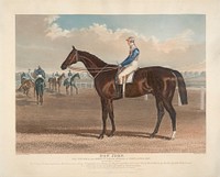 Racing : "Don John" / Winner of The Great St. Leger Stakes at Doncaster,  1838, rode W. Scott. / Bred in 1835, by Mr. Garforth ...