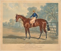 [Racing]: "Deception",  Winner of the Oaks Stakes at Epsom, 1839,  Rode by J. Day ...