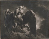 Vulture and Lamb