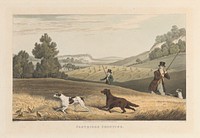 Partridge Shooting