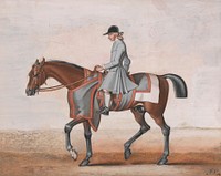 Lord Godolphin's White Foot, a Very Famous Horse That Was Never Beat