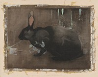 A Black Rabbit