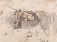 A Racing Saddle on a Horse's Back, With Details of Stirrup