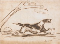 Study of a Hound, Running