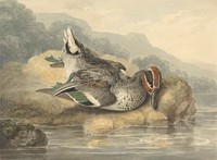 Dead Teal