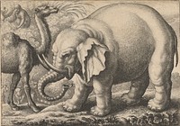 An Elephant and a Camel