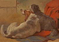 A Hound and a Bearded Collie seated on a Hunting Coat